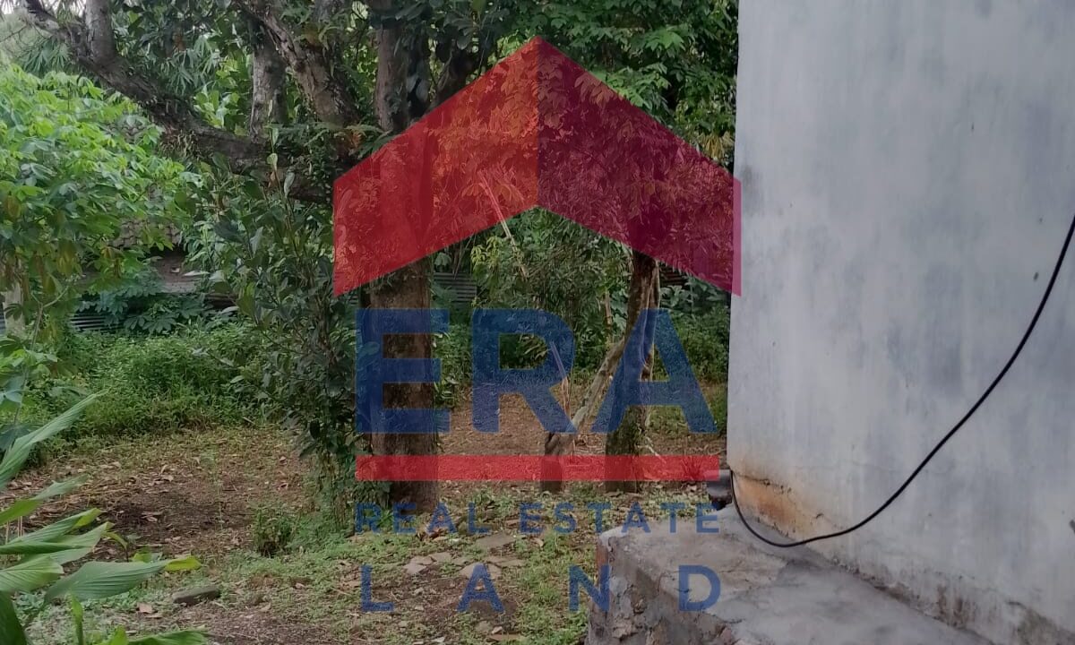 Gambar WhatsApp 2025-02-20 pukul 12.14.01_f6b47b8f