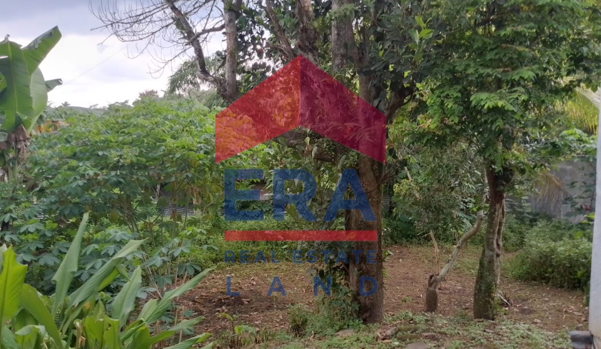 Gambar WhatsApp 2025-02-20 pukul 12.14.02_a846e998