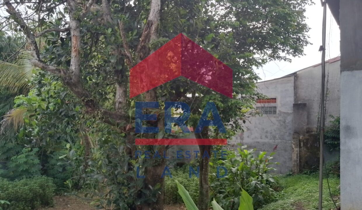 Gambar WhatsApp 2025-02-20 pukul 12.14.02_f083ffba