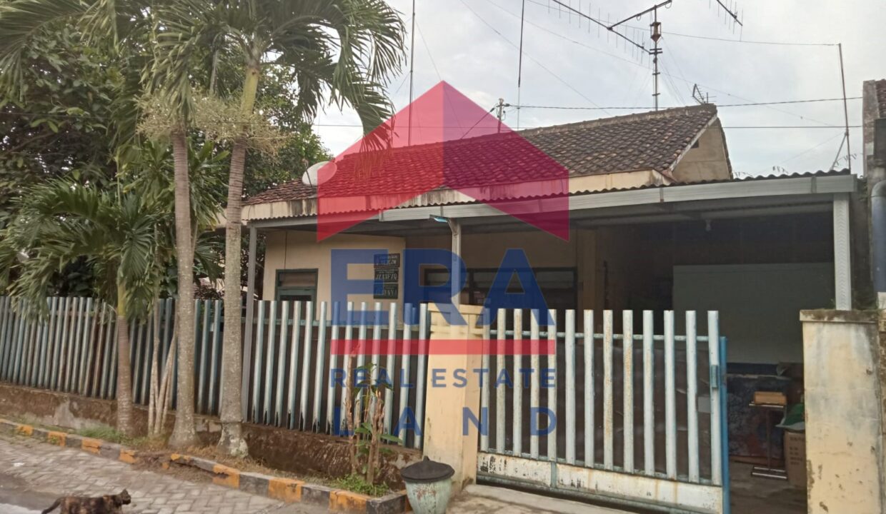 Gambar WhatsApp 2025-02-20 pukul 12.14.27_aff6b5b2