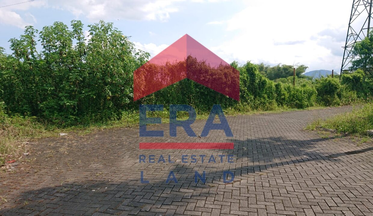 Gambar WhatsApp 2025-02-26 pukul 16.37.52_d12a581d