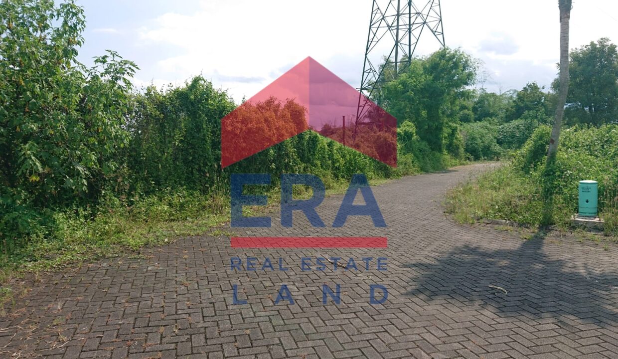 Gambar WhatsApp 2025-02-26 pukul 16.37.52_d9884c69