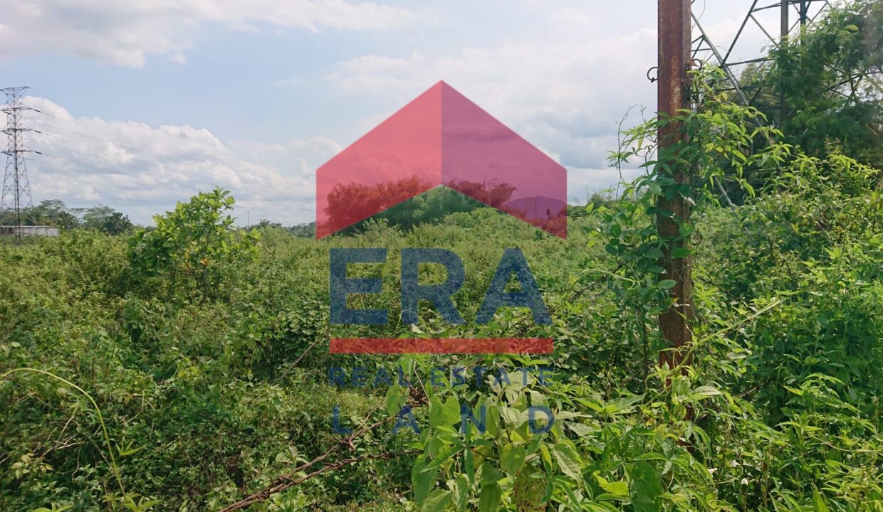 Gambar WhatsApp 2025-02-26 pukul 16.37.53_bb55b4c2