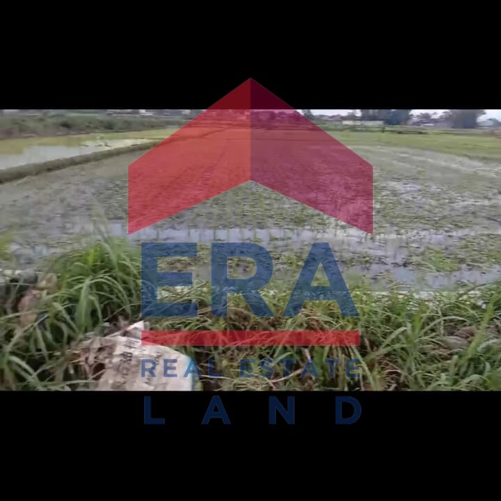 Gambar WhatsApp 2025-02-26 pukul 16.48.11_73dd9d0c