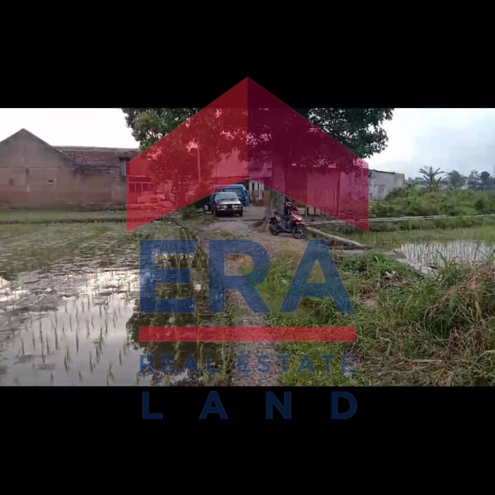 Gambar WhatsApp 2025-02-26 pukul 16.48.11_a4c862d5