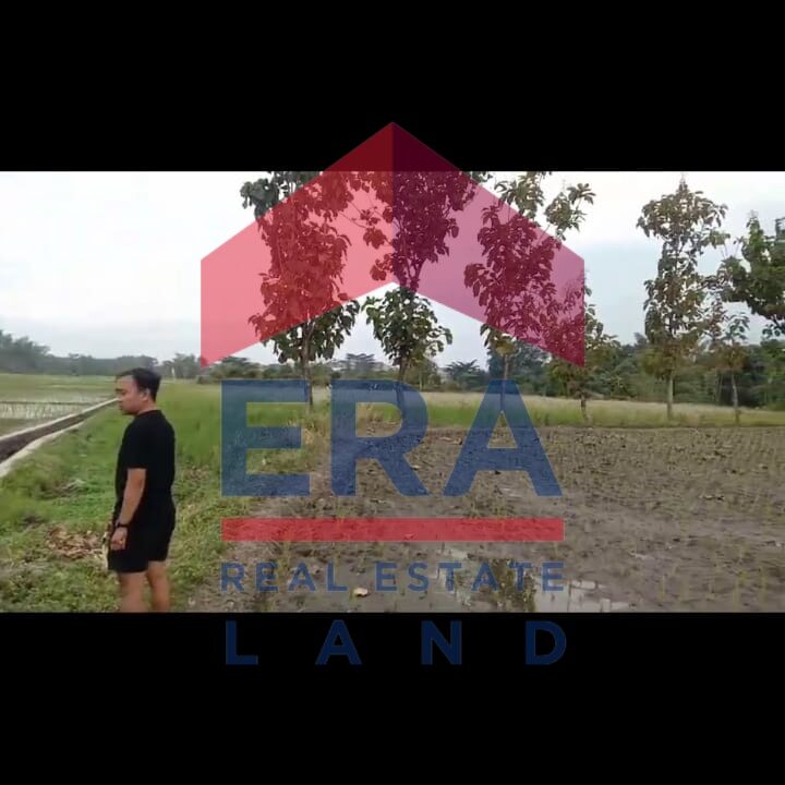 Gambar WhatsApp 2025-02-26 pukul 16.48.12_5903ec02