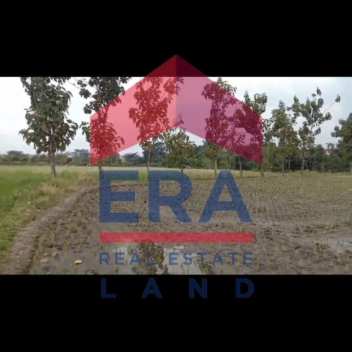 Gambar WhatsApp 2025-02-26 pukul 16.48.12_ba418300