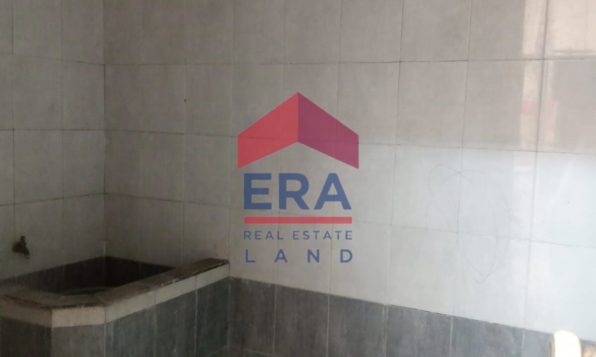 WhatsApp Image 2022-11-15 at 15.53.06