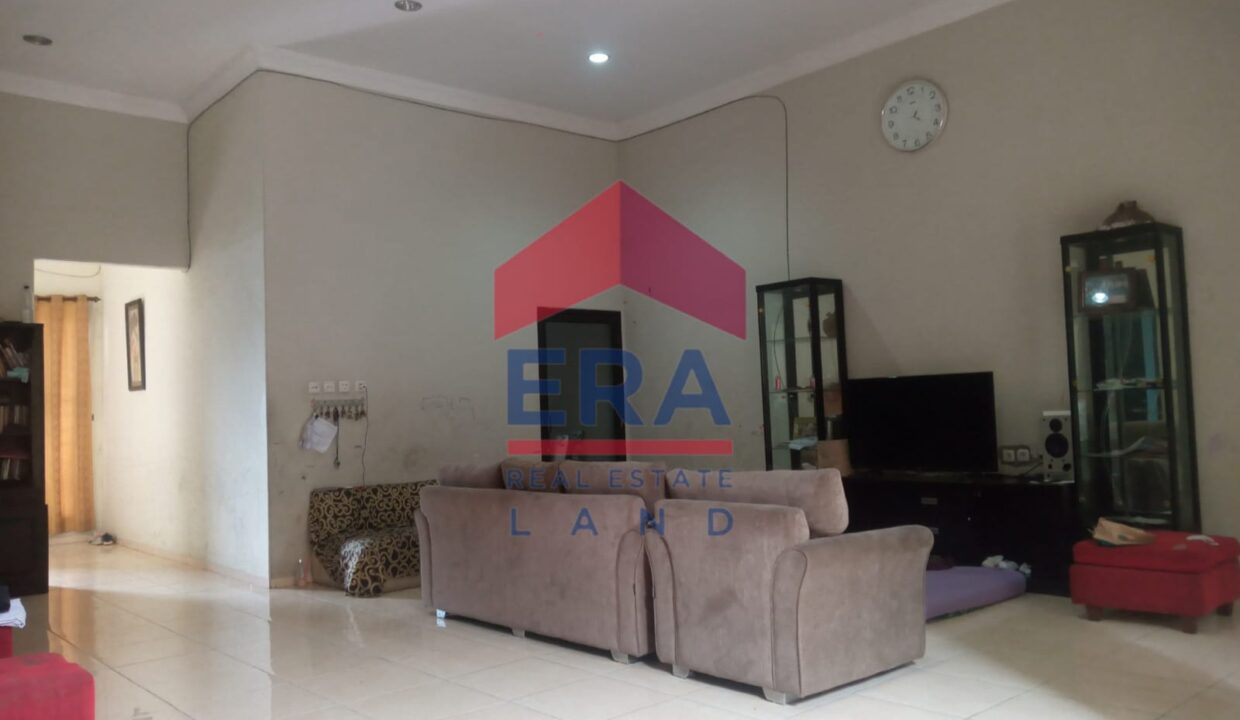 WhatsApp Image 2022-11-15 at 15.53.52