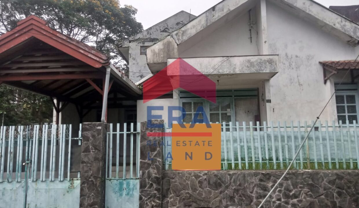 WhatsApp Image 2022-11-15 at 15.59.45