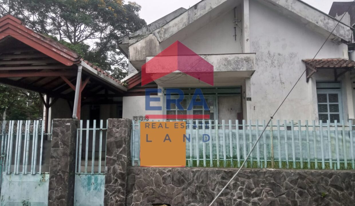 WhatsApp Image 2022-11-15 at 15.59.46