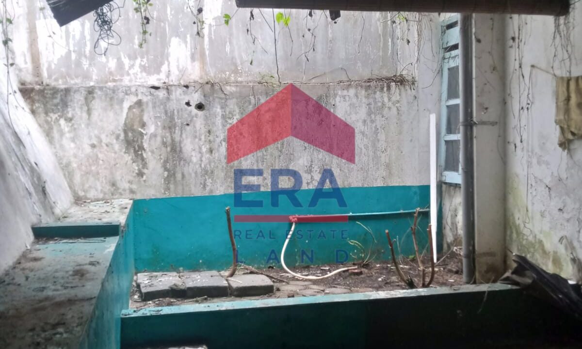 WhatsApp Image 2022-11-15 at 15.59.50