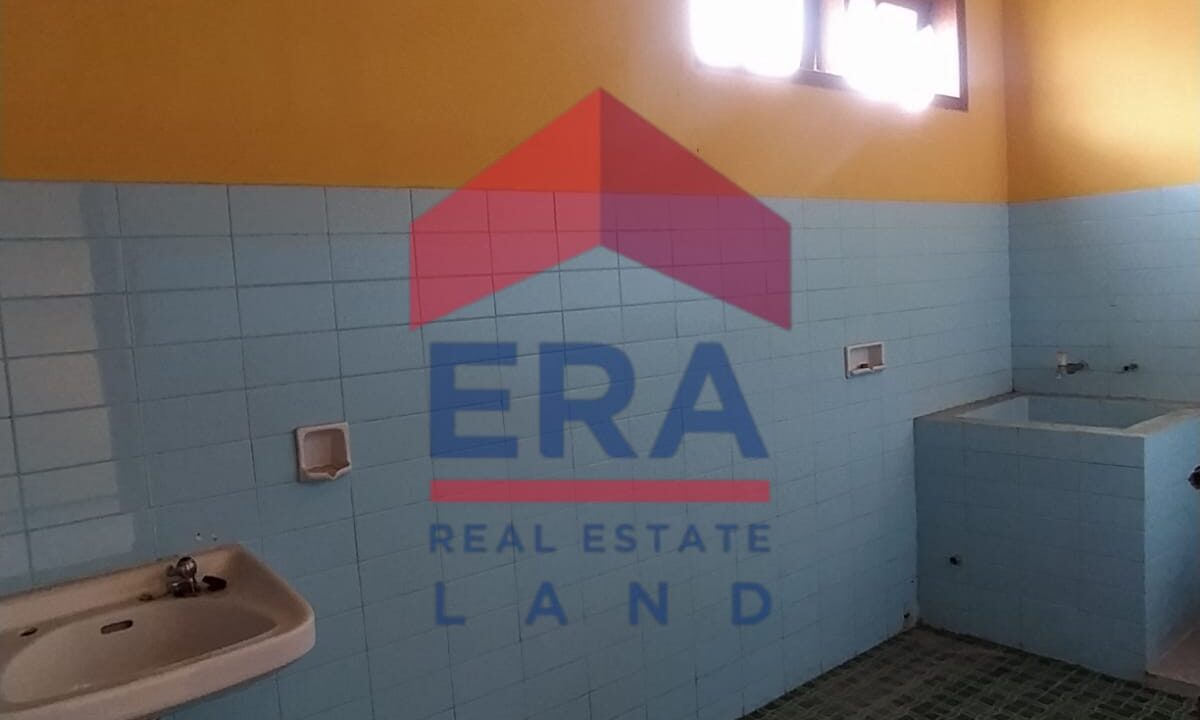 WhatsApp Image 2023-01-16 at 10.43.51 - Copy