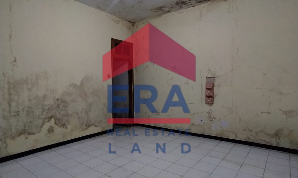 WhatsApp Image 2023-01-16 at 10.43.57