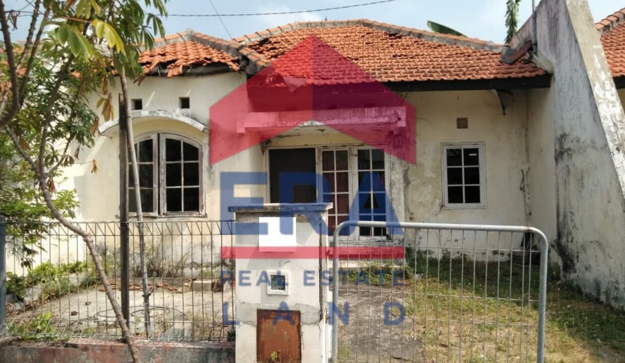 WhatsApp Image 2023-01-25 at 12.22.34