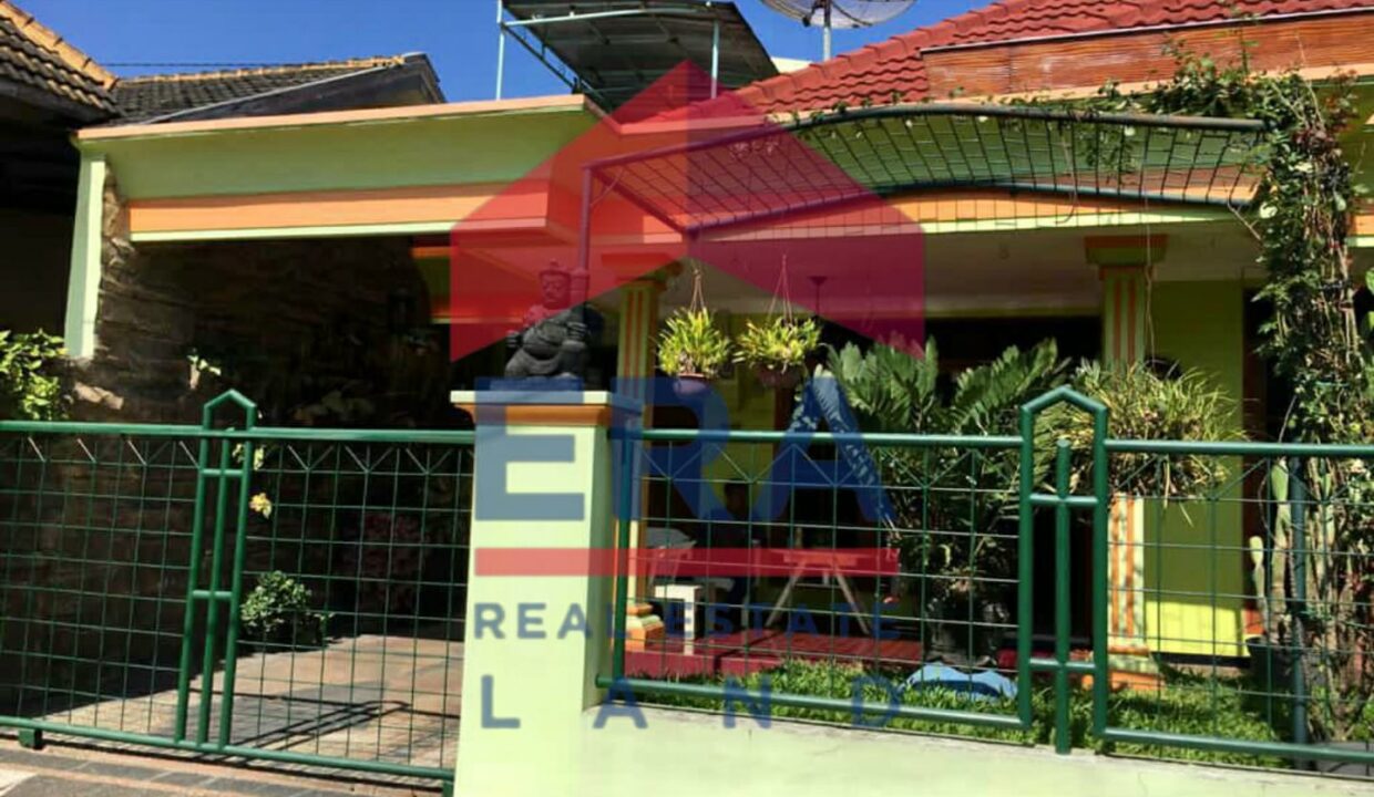 WhatsApp Image 2023-02-10 at 17.33.25