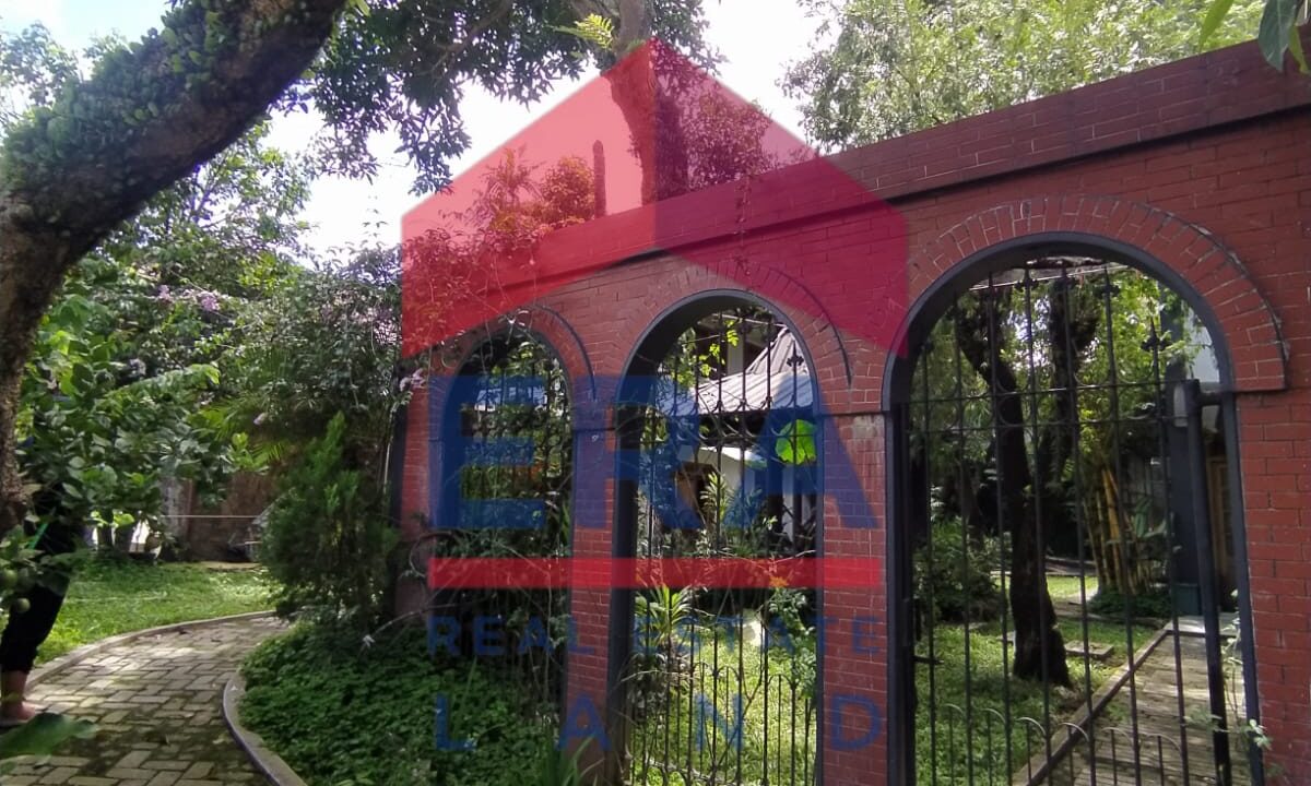 WhatsApp Image 2023-03-07 at 11.32.59 (1)