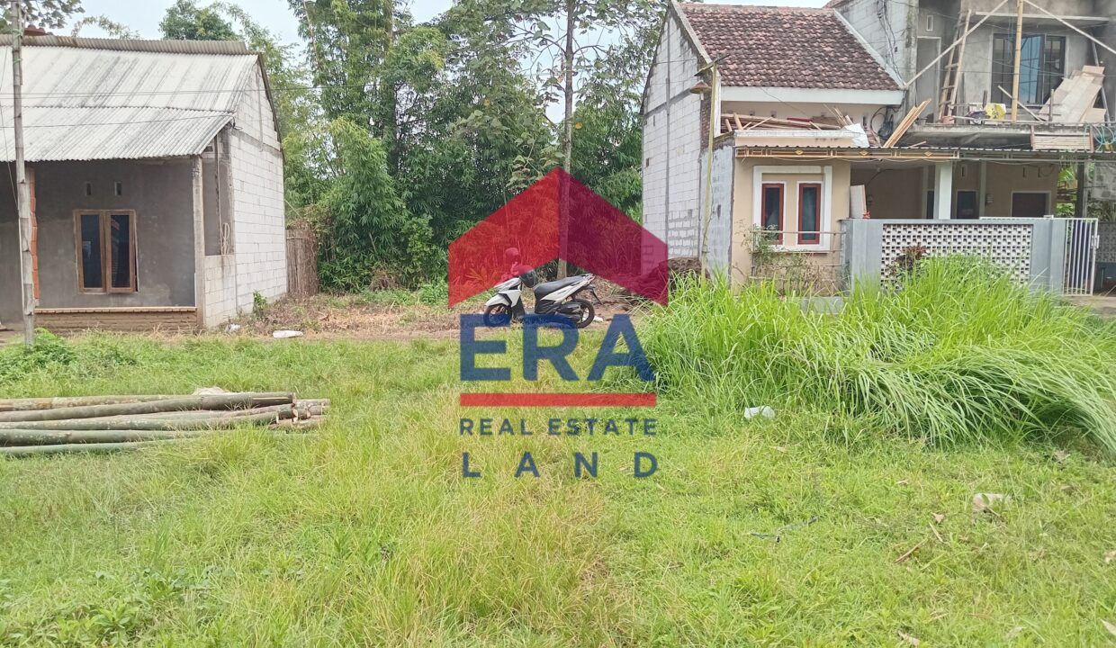 Gambar WhatsApp 2025-02-17 pukul 11.24.36_cfd77c68