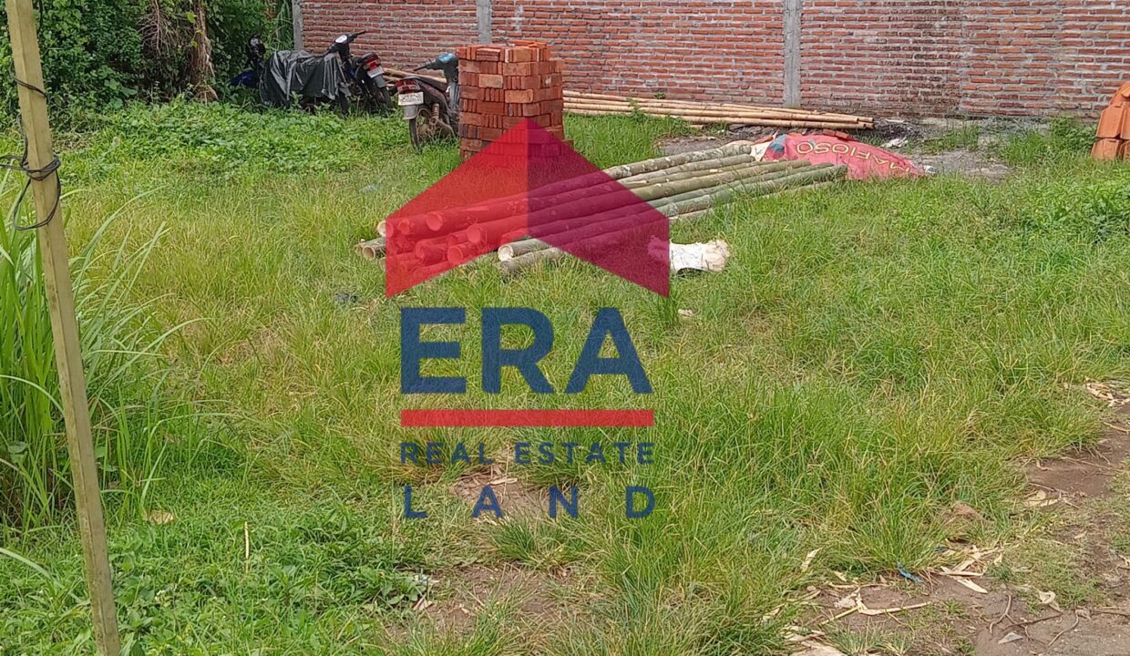 Gambar WhatsApp 2025-02-17 pukul 11.24.42_c72f4093