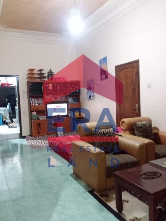 file3