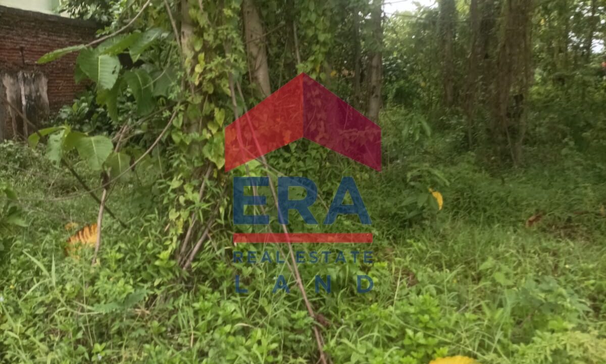 Gambar WhatsApp 2025-05-07 pukul 10.39.26_7a674e26