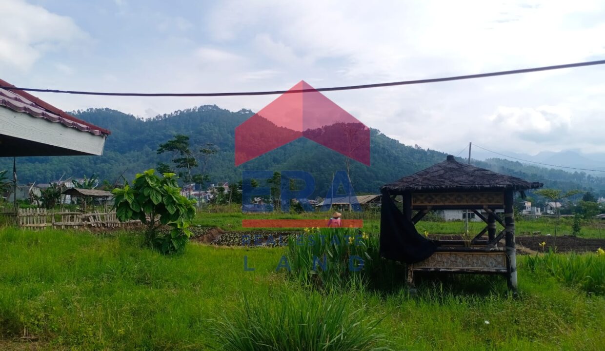 Gambar WhatsApp 2025-06-17 pukul 10.45.21_888e030e