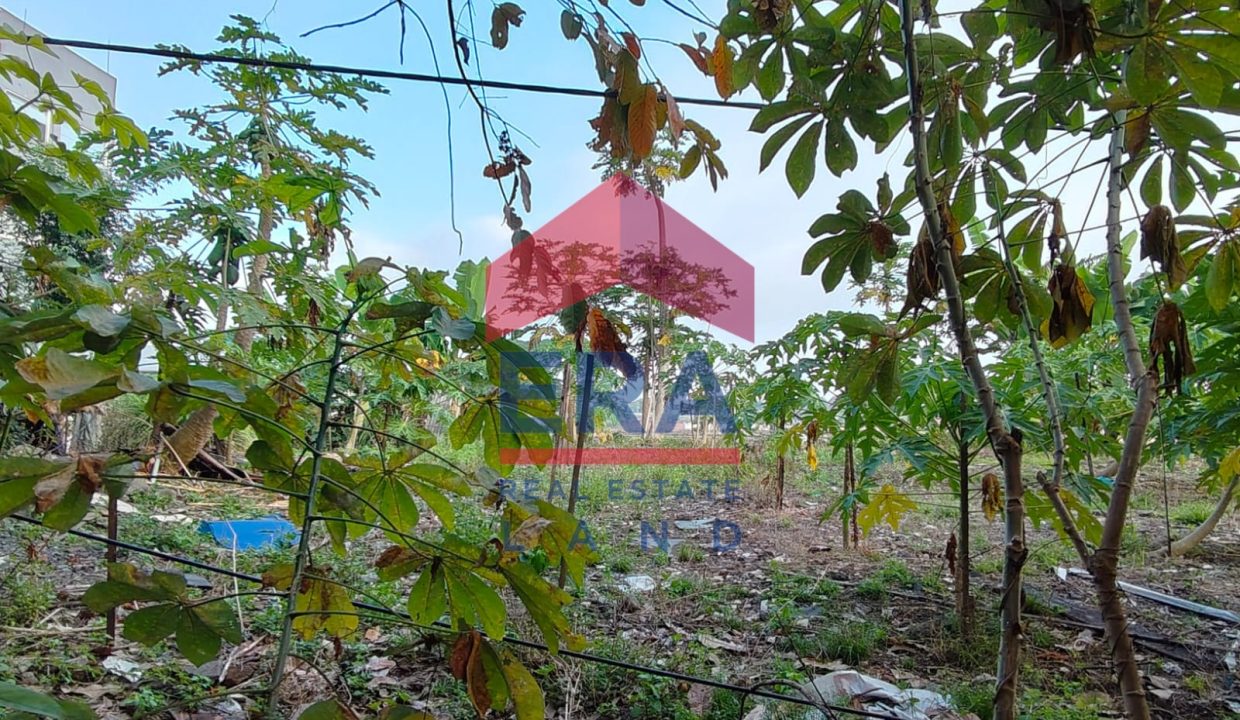 Gambar WhatsApp 2025-07-18 pukul 09.29.34_9907a927