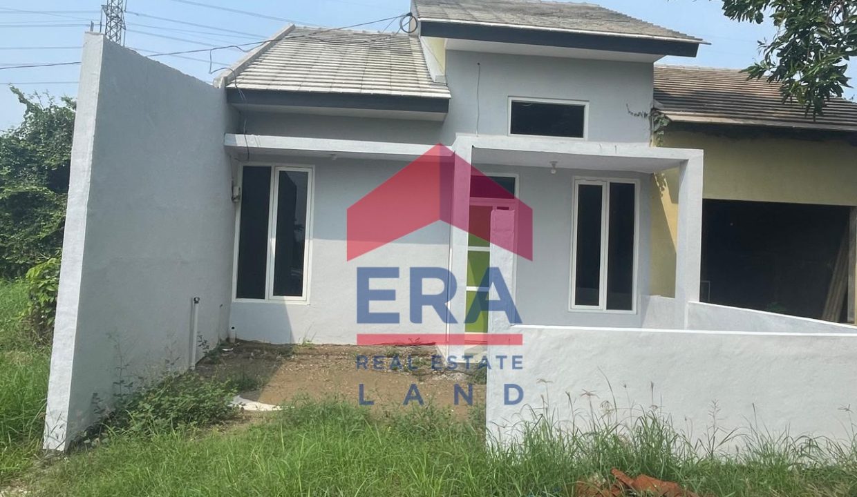 WhatsApp Image 2024-12-06 at 15.02.51 (1)