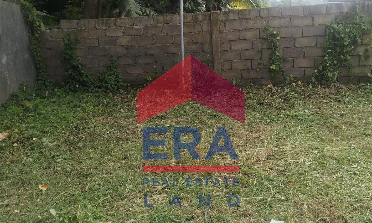 WhatsApp Image 2025-01-07 at 11.01.46