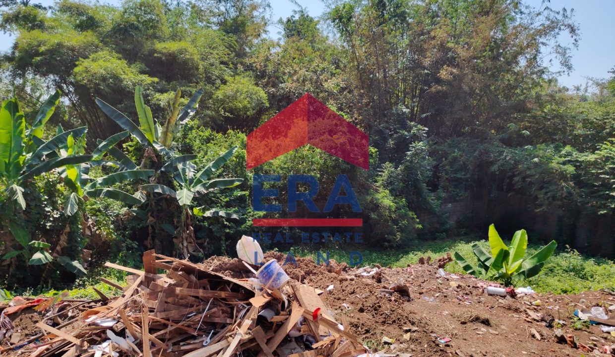 Gambar WhatsApp 2025-08-08 pukul 09.04.59_17cc9b12