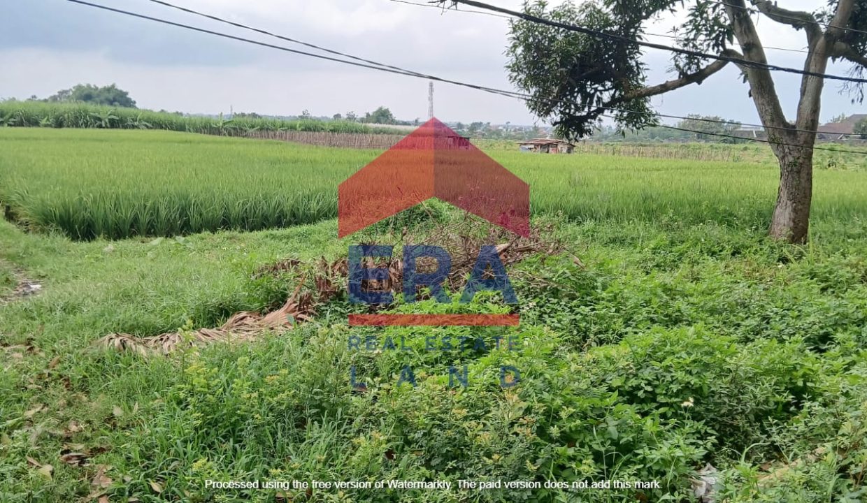 Gambar WhatsApp 2025-08-15 pukul 10.39.12_a8b79a7c