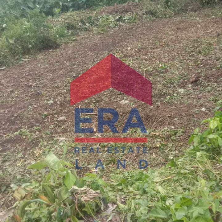 Gambar WhatsApp 2025-08-22 pukul 08.38.19_ebeeb89f