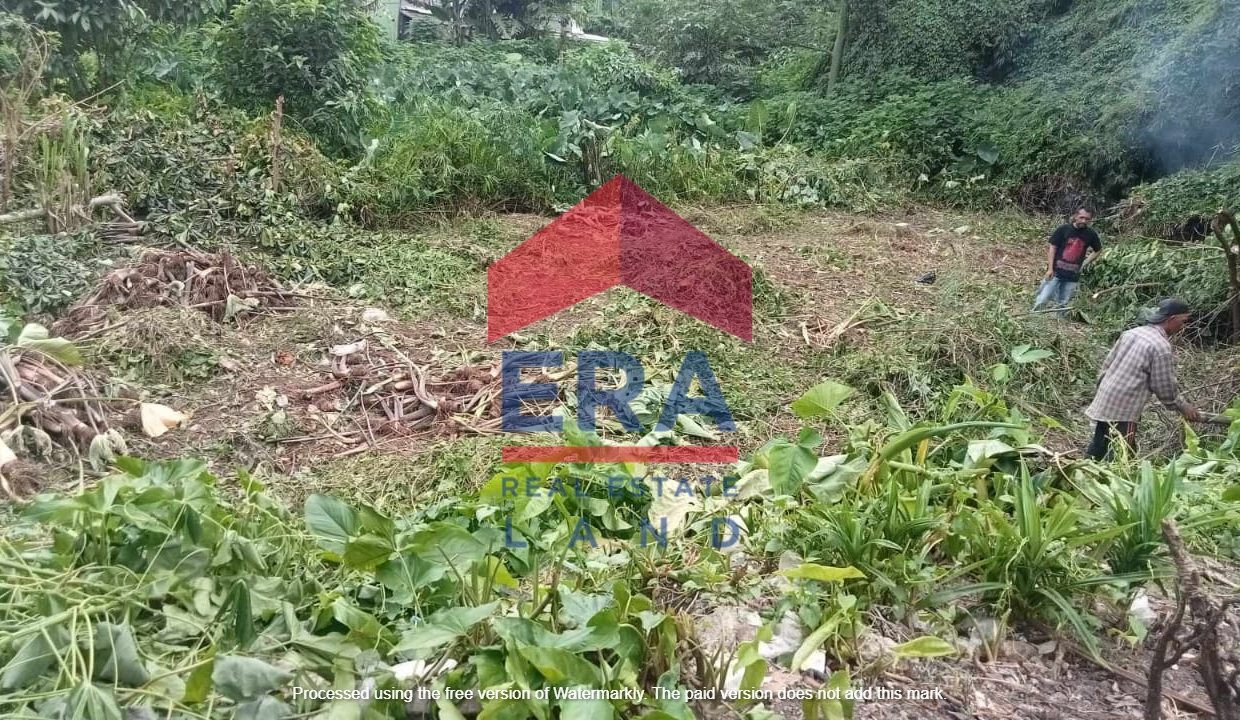 Gambar WhatsApp 2025-08-22 pukul 08.38.20_22e86f96