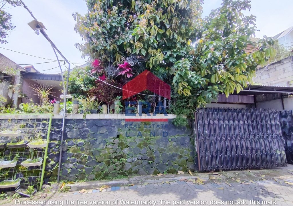 IMG-20250314-WA0005 (FILEminimizer)