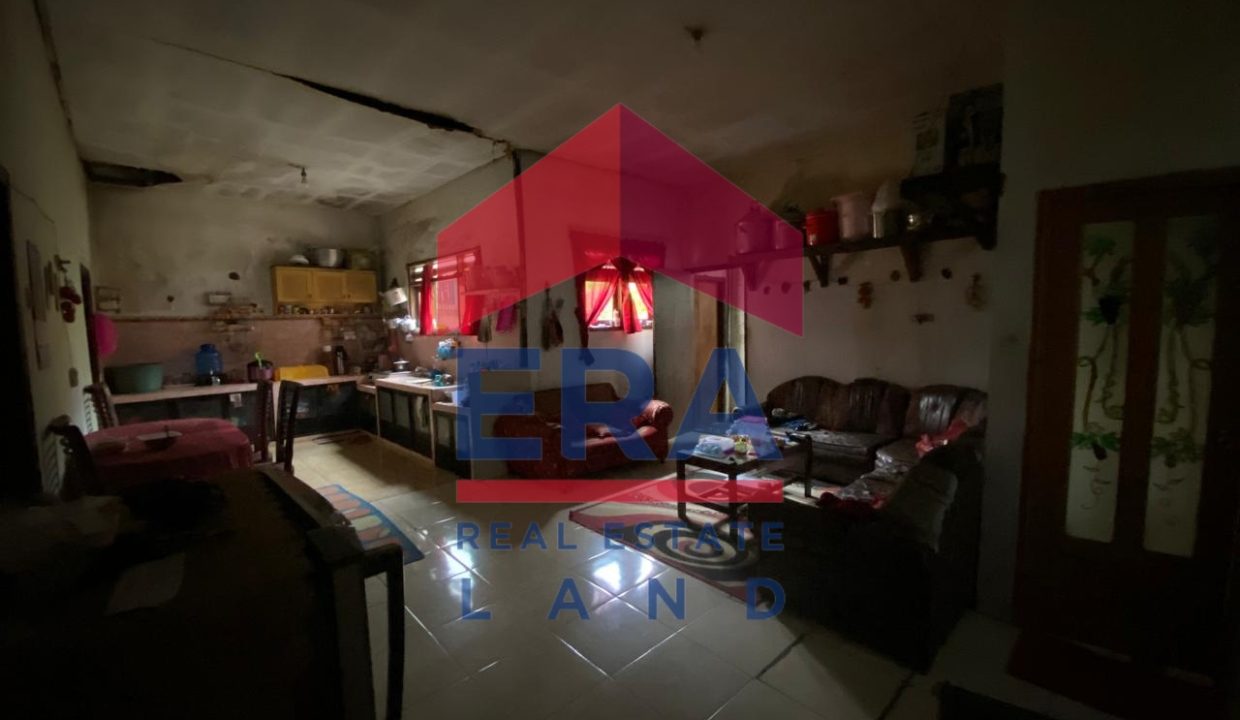 WhatsApp Image 2025-07-17 at 16.31.41