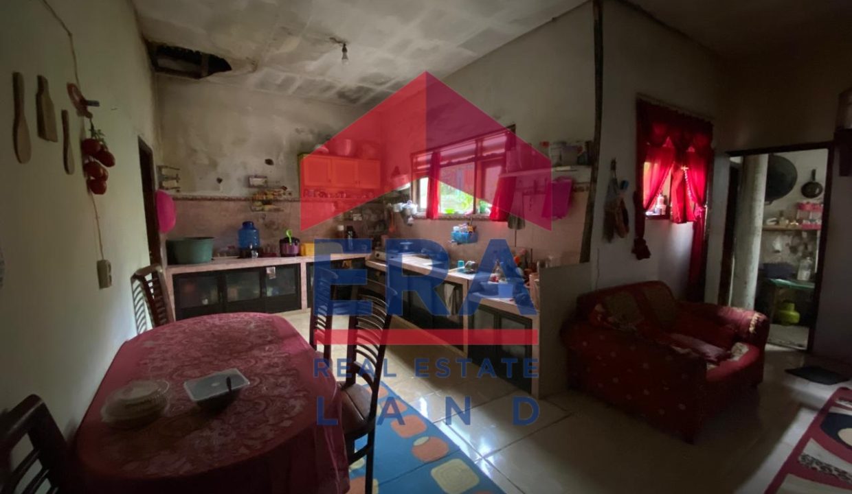 WhatsApp Image 2025-07-17 at 16.31.53