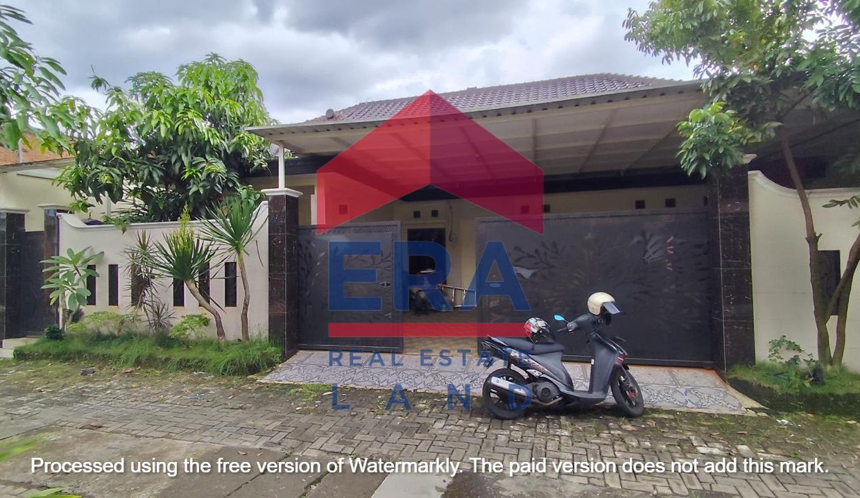 WhatsApp Image 2025-07-31 at 14.46.08 (1)