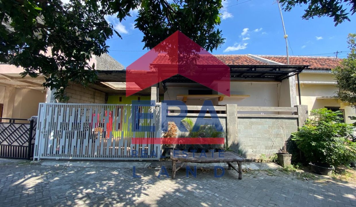 WhatsApp Image 2025-08-18 at 22.35.11 (1)