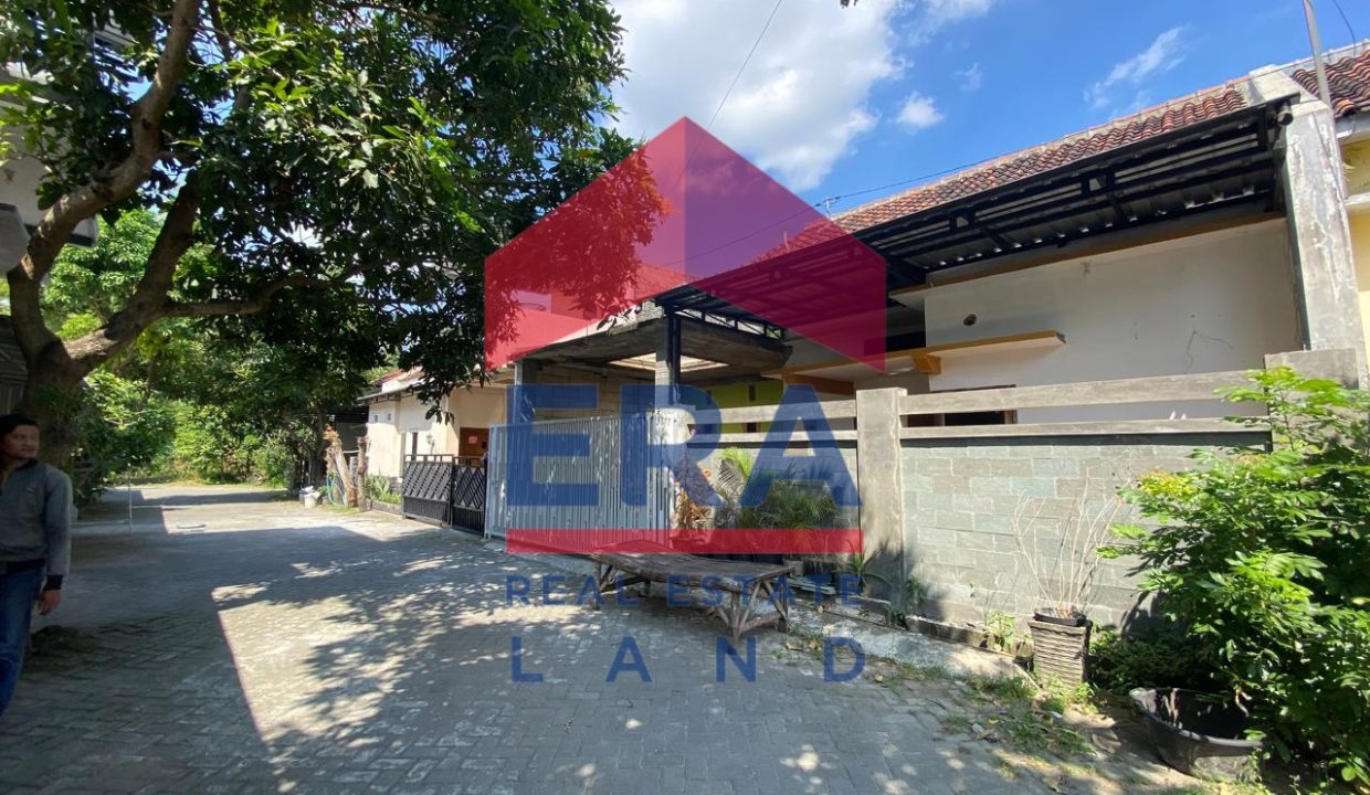 WhatsApp Image 2025-08-18 at 22.35.11 (3)