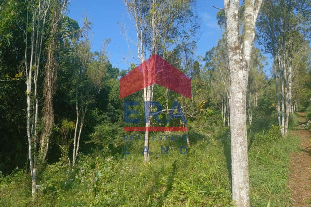 Gambar WhatsApp 2025-10-09 pukul 13.53.44_61cdf66a