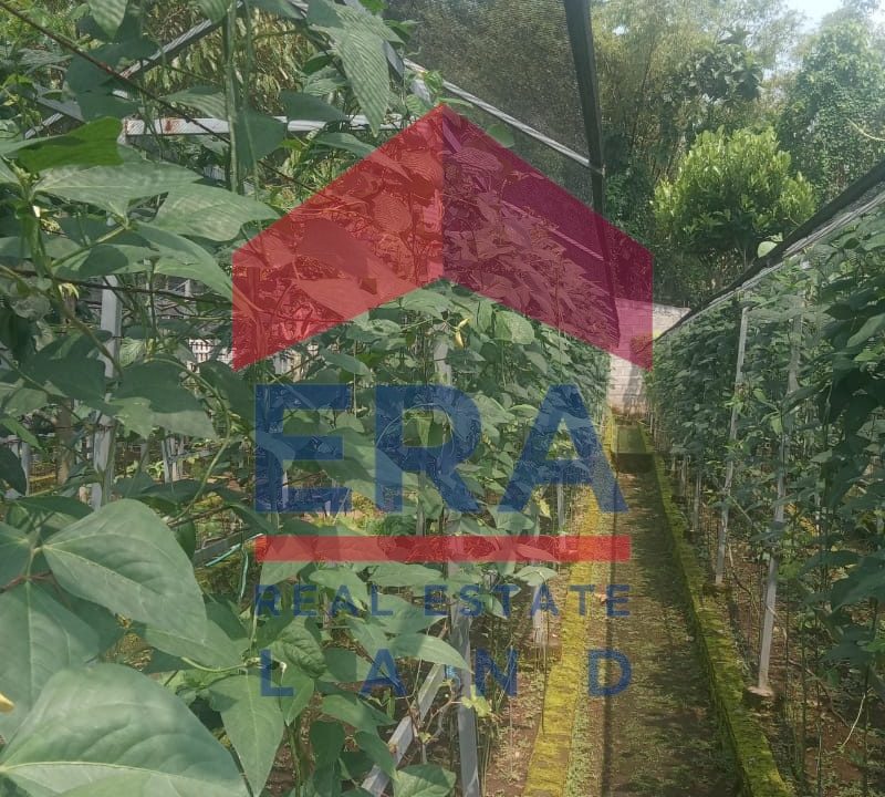 Gambar WhatsApp 2025-10-24 pukul 07.36.57_95d4de95