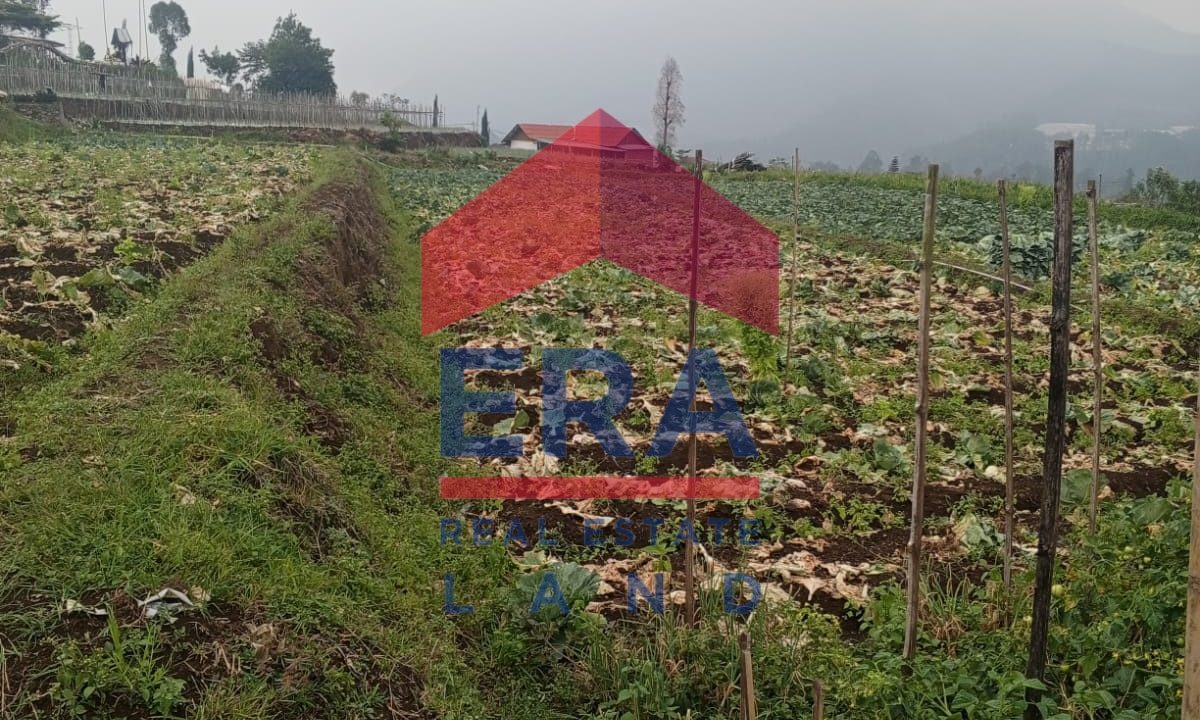 Gambar WhatsApp 2025-11-09 pukul 08.17.55_083a0f1b