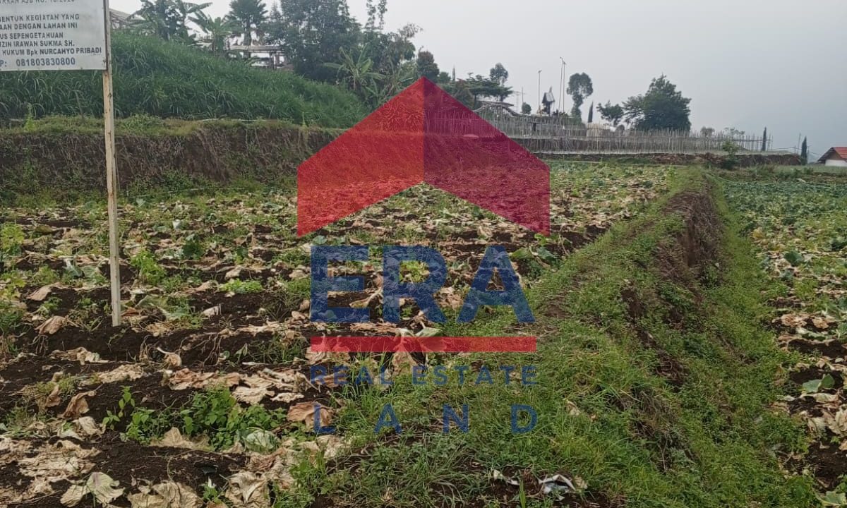 Gambar WhatsApp 2025-11-09 pukul 08.17.56_2eeced2f