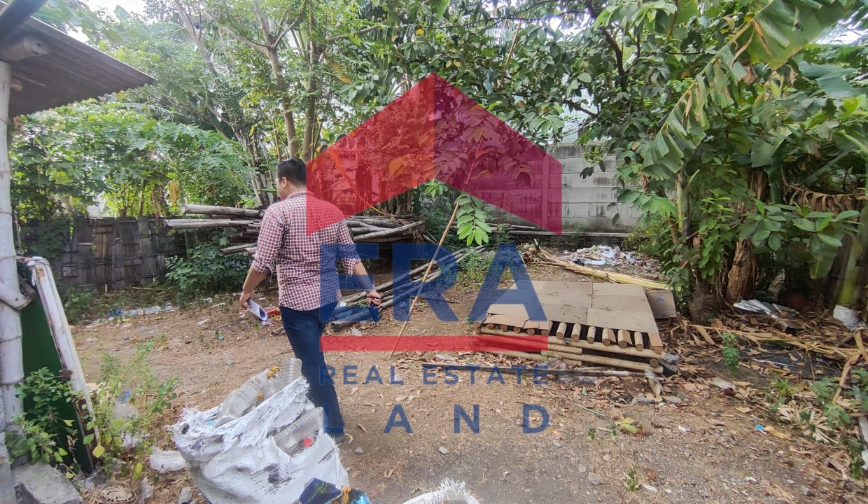 IMG-20241014-WA0068
