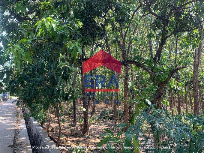 Dijual Tanah di Jalan Latsari Tuban