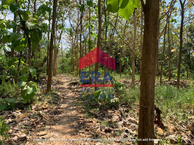 Dijual Tanah di Jalan Raya Bulu Jatiroto Tuban