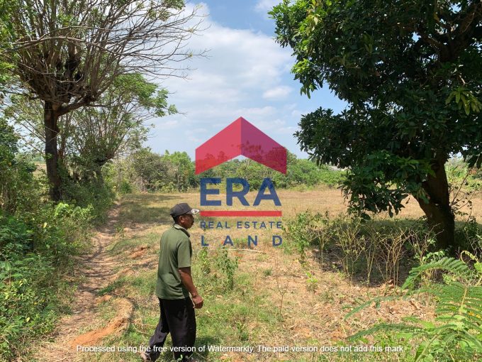 Dijual Tanah di Jalan Raya Bulu Jatiroto Tuban