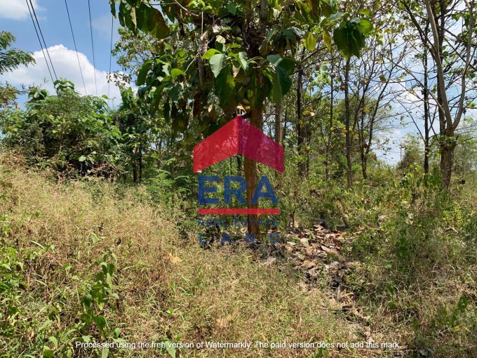 Dijual Tanah di Jalan Raya Bulu Jatiroto Tuban