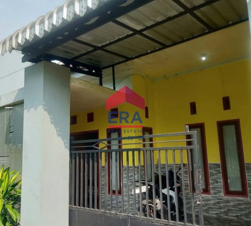 WhatsApp Image 2025-12-10 at 12.46.56