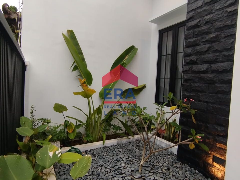 WhatsApp Image 2026-01-10 at 13.27.53